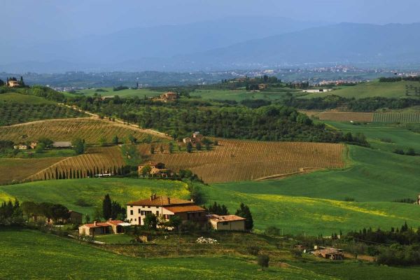 Italy, Tuscany Val dOrcia countryside